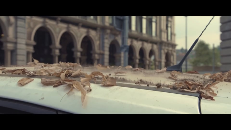 2015.07 Sunrise - Chocolate - Langenegger - Roger Federer Dino
