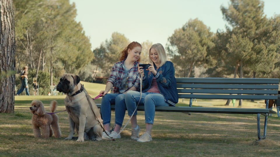 2017.03 Swisscom - Chocolate - Timmer - Dog