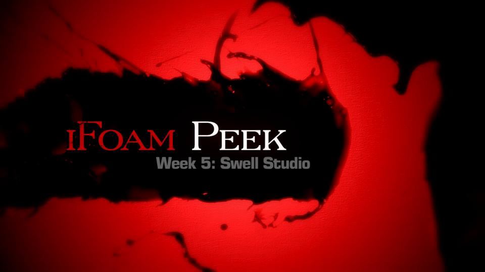 iFoam Week 05