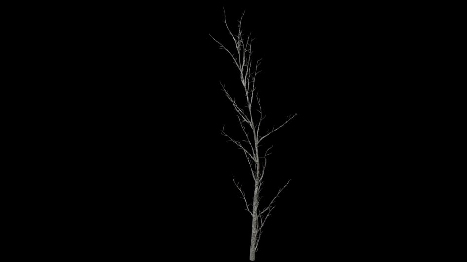 ProceduralTree